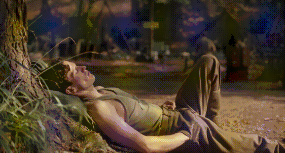 04a337e390faecc5ff7a5836c8fe358e_1023720.gif