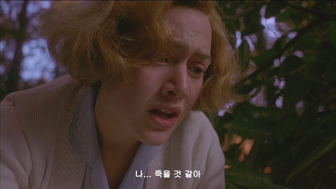 해당이미지