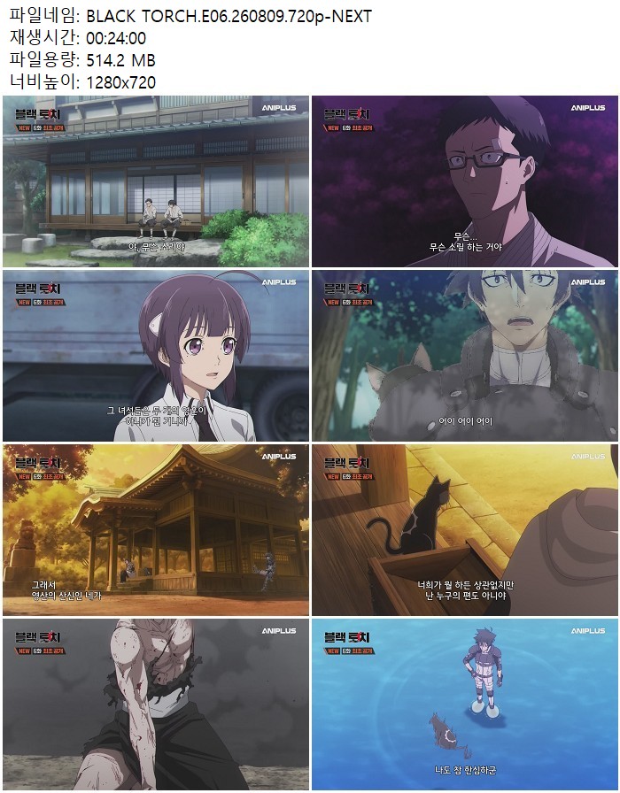 BLACK TORCH.E06.260809.720p-NEXT