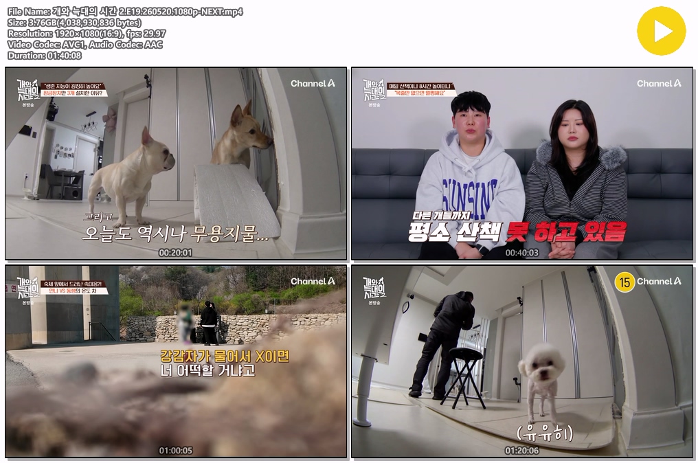 개와 늑대의 시간 2.E19.260520.1080p-NEXT