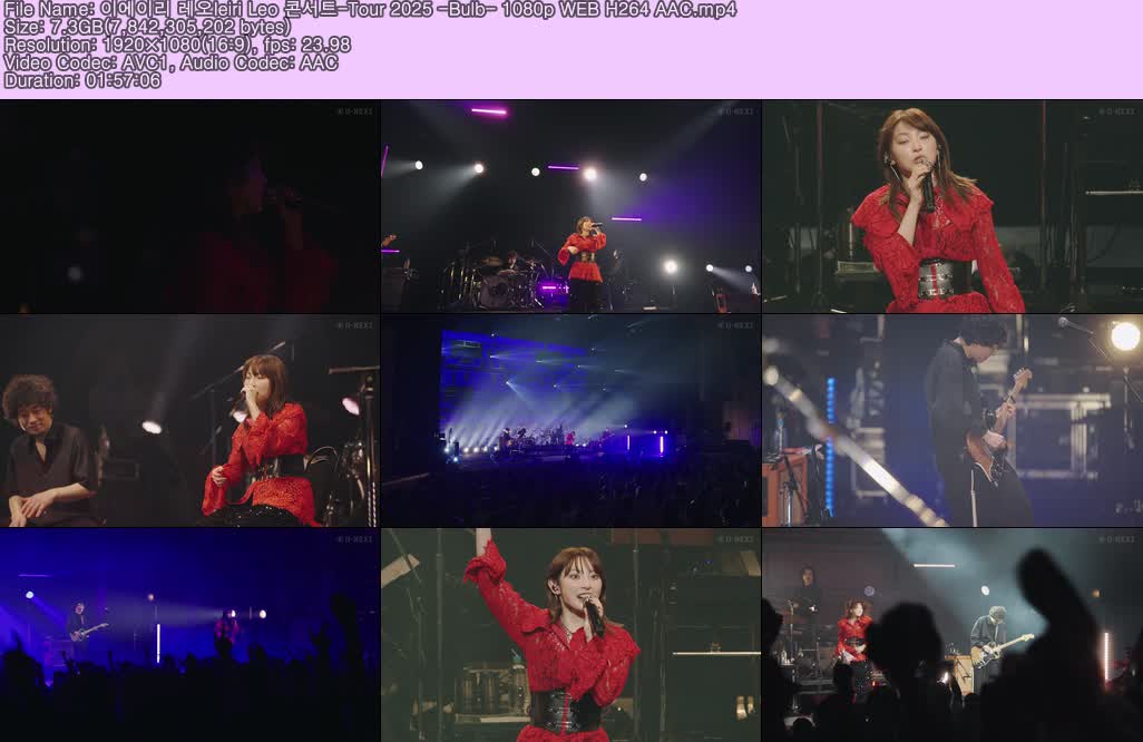이에이리 레오Ieiri Leo 콘서트-Tour 2025 -Bulb- 1080p
