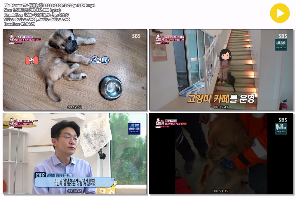 해당이미지