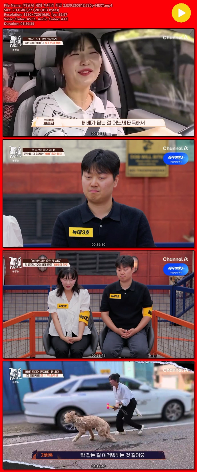 해당이미지