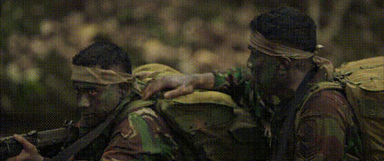 3b68552ffcbfd076f1eb29c9667d095a_978059.gif