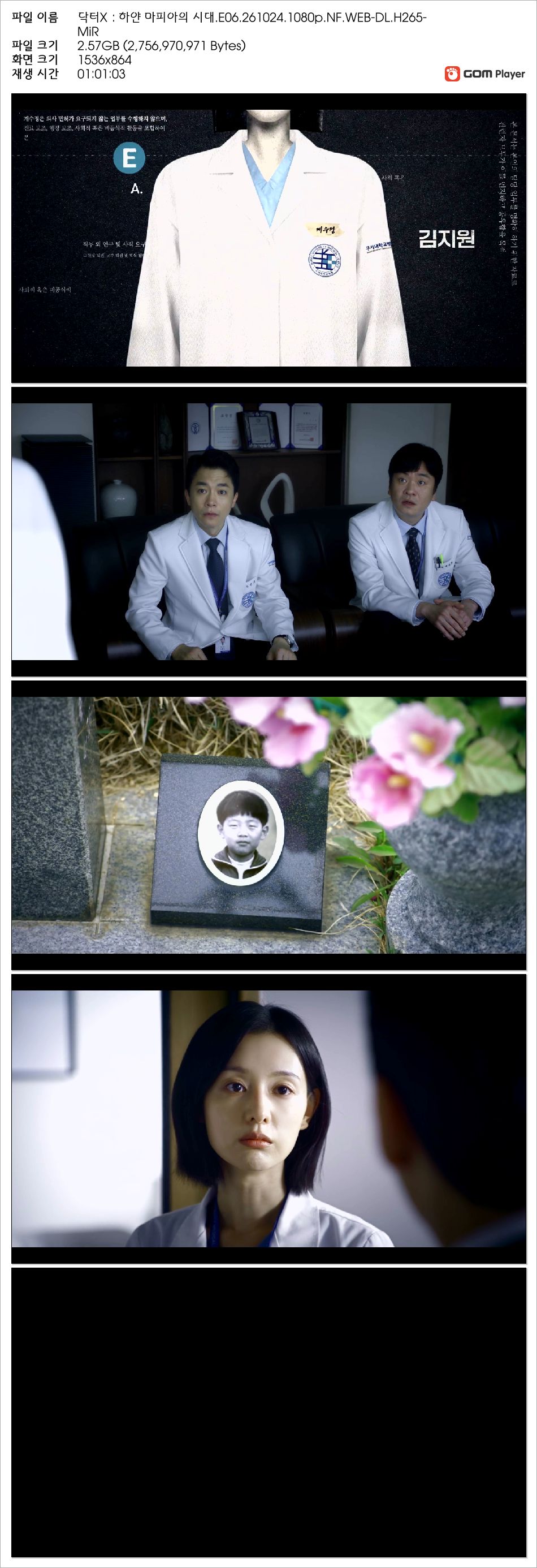 닥터X：하얀 마피아의 시대.E06.261024.1080p.NF.WEB-DL.H265-MiR