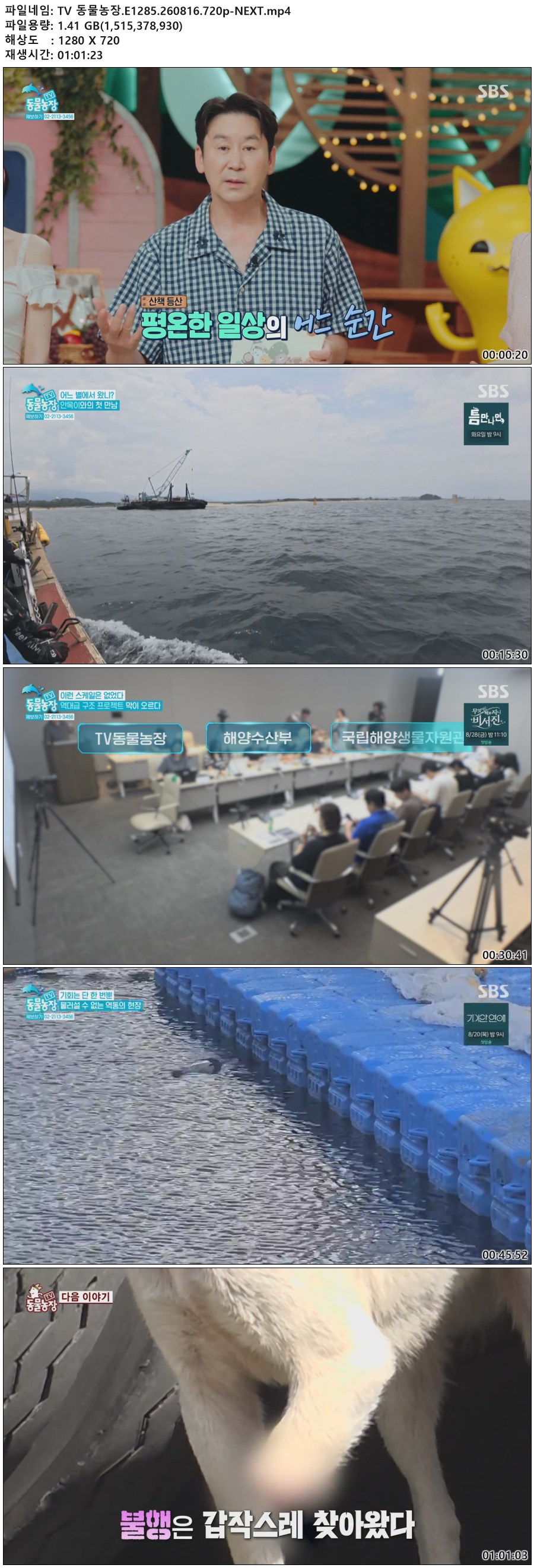 해당이미지