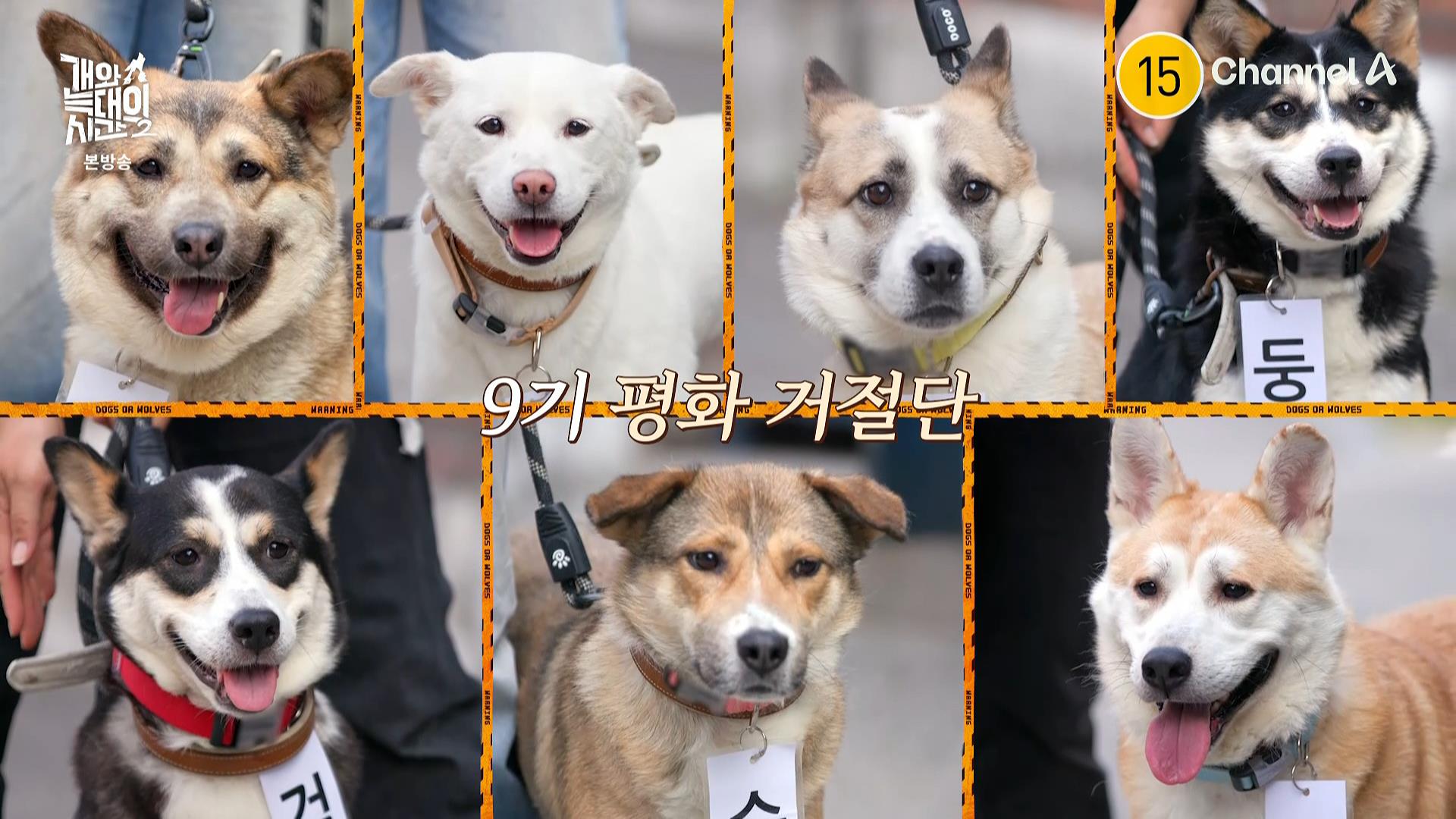 [채널A] 개와 늑대의 시간 2.E25.260708.HDTV.H264.AC3.1080i