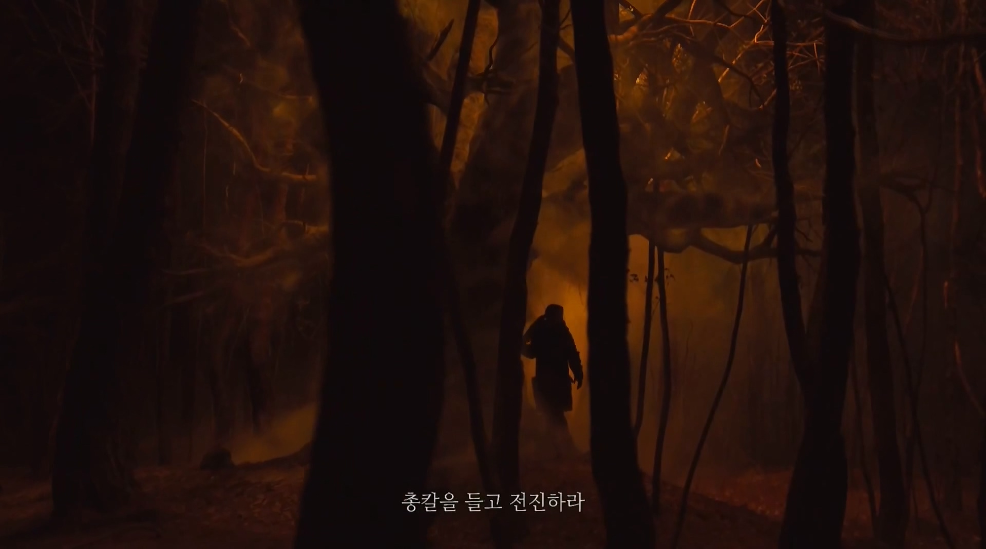 해당이미지
