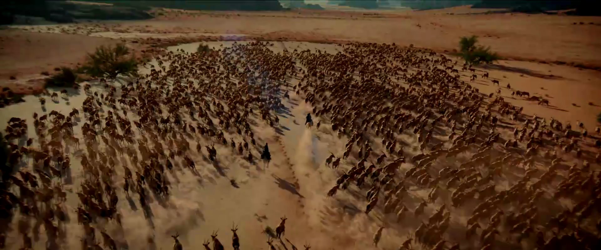 50eeb08032e5b7eb4b844e32ad3eee7e_233102.jpg