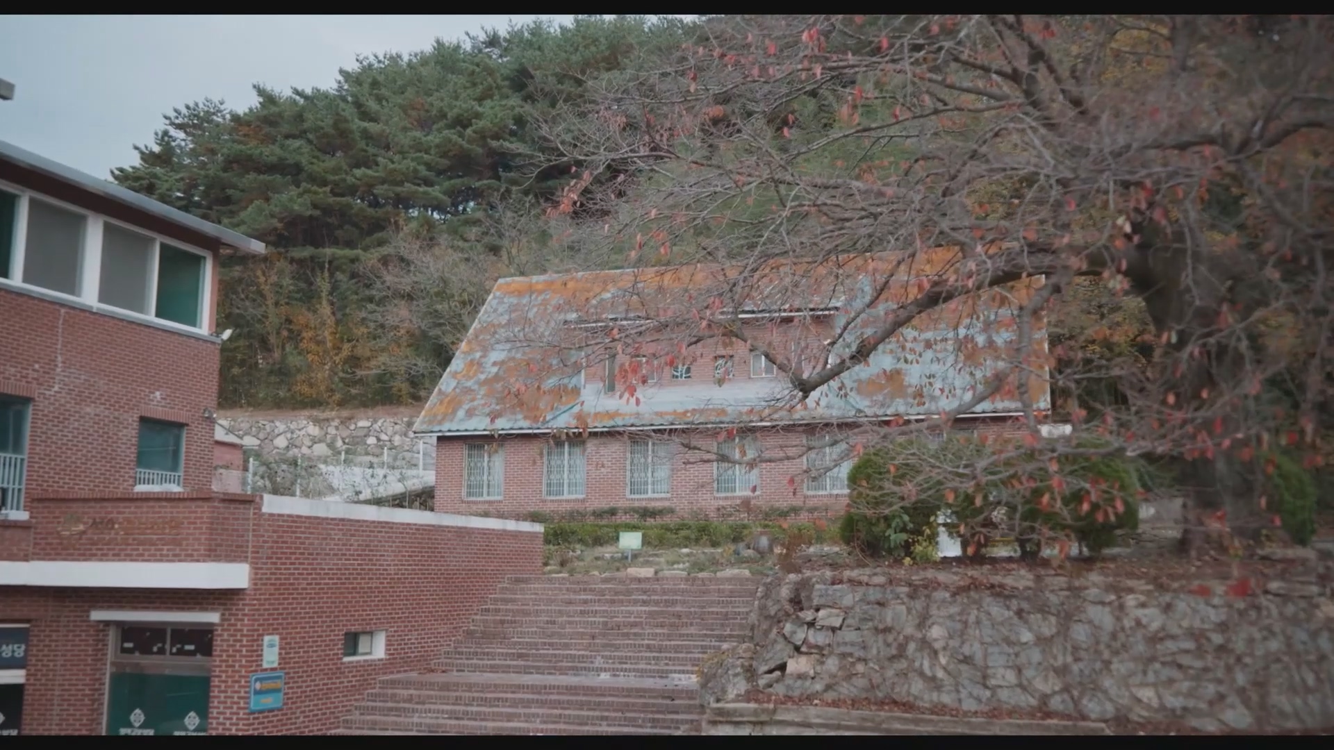 해당이미지