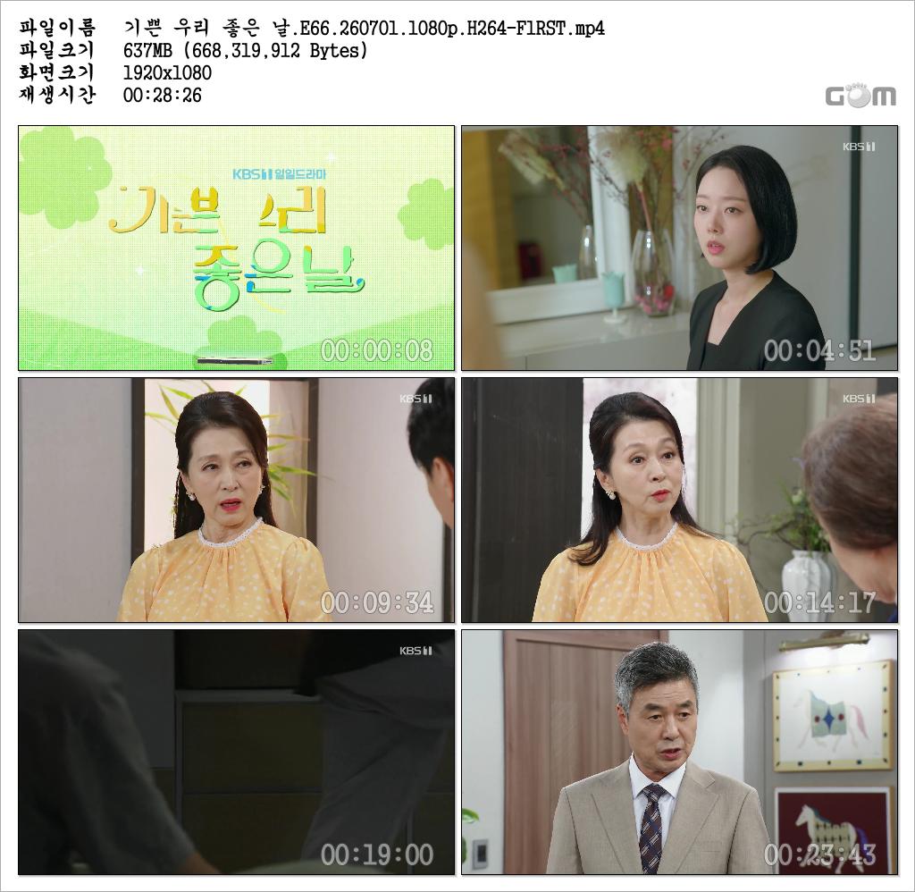 기쁜 우리 좋은 날.E66.260701.1080p.H264-F1RST