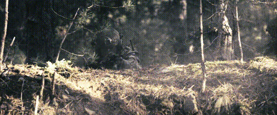 a0a14dbba0e30e326cd2197996134971_988962.gif