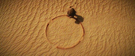 a0da67bc690df6dd7054d8c692e26cc1_952607.gif