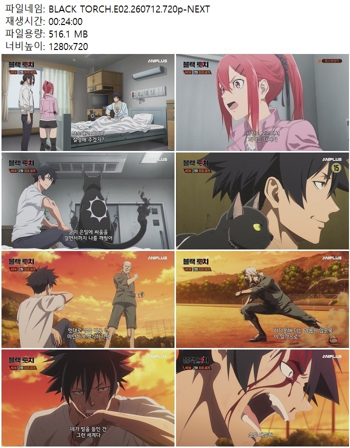 BLACK TORCH.E02.260712.720p-NEXT