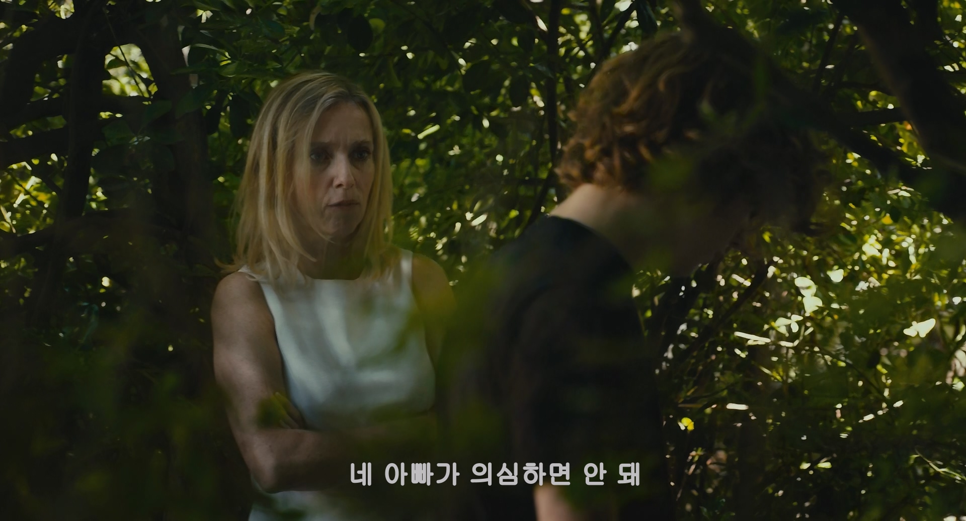 해당이미지