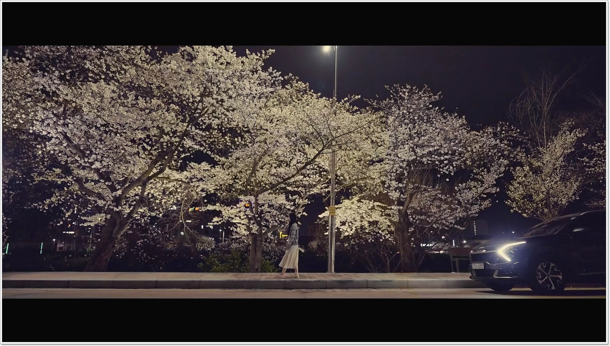 bde2c2fc12752bb99e0979d3c5e99de3_834194.jpg 해당이미지