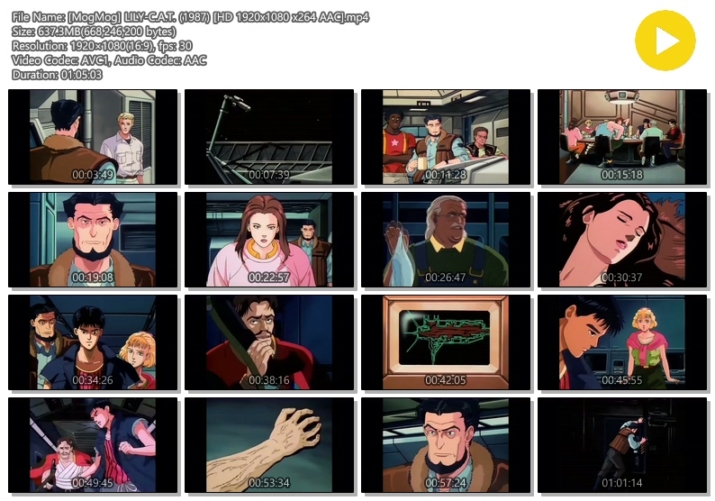 c2c9c0267f8a7e2ff2e8ae8061ed93d3_178408.jpg
