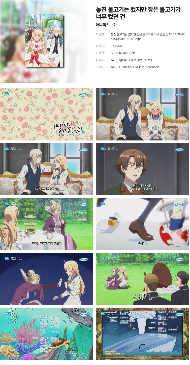 놓친 물고기는 컸지만 잡은 물고기가 너무 컸던 건.E03.260416.480p.H264-F1RST