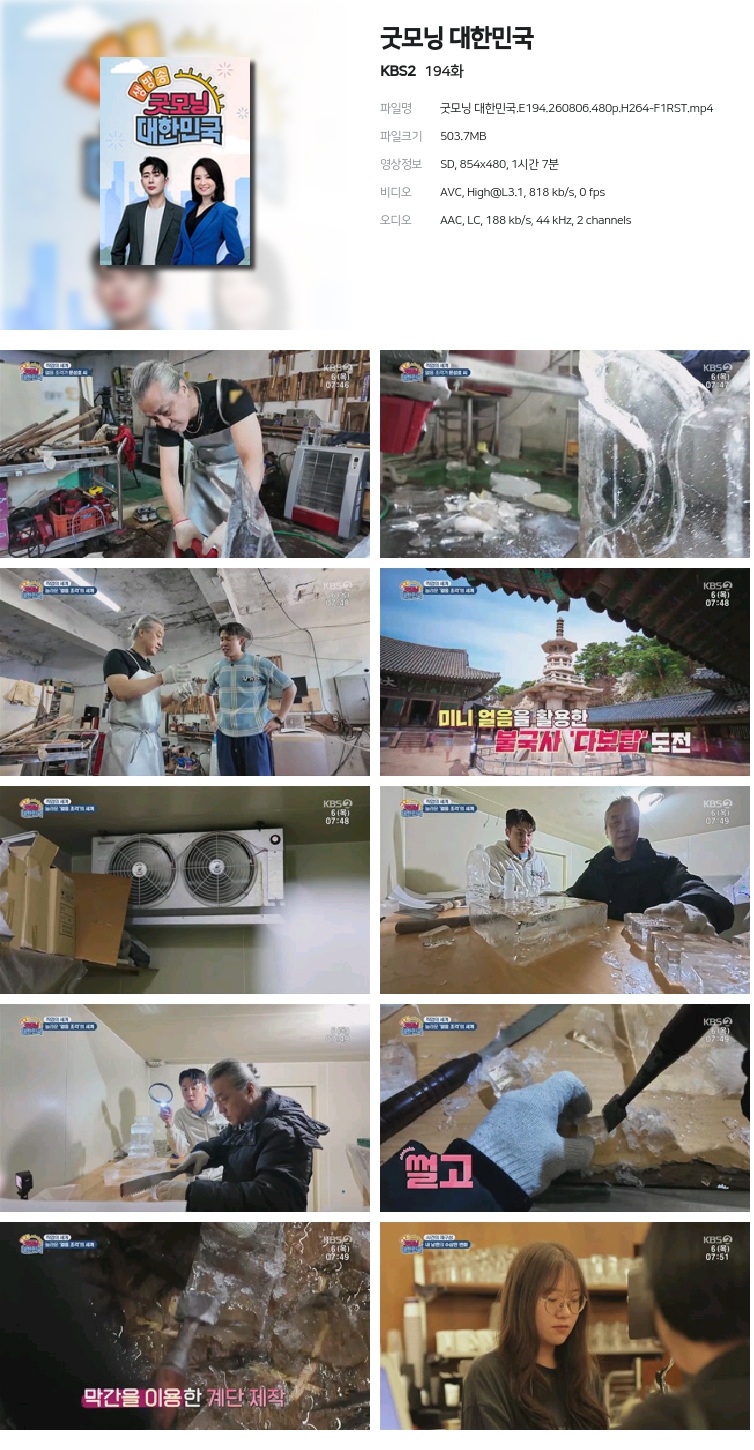 굿모닝 대한민국.E194.260806.480p.H264-F1RST