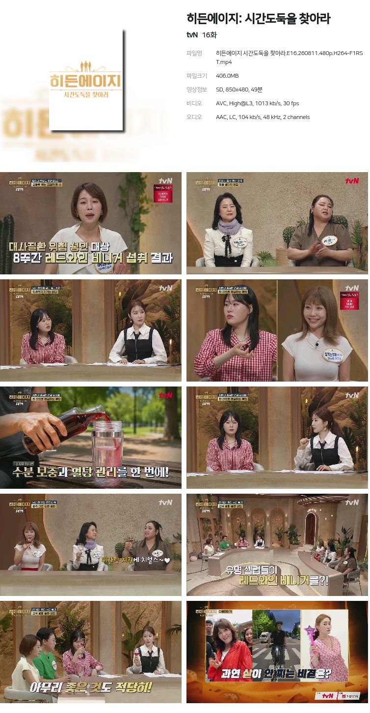히든에이지 시간도둑을 찾아라.E16.260811.480p.H264-F1RST