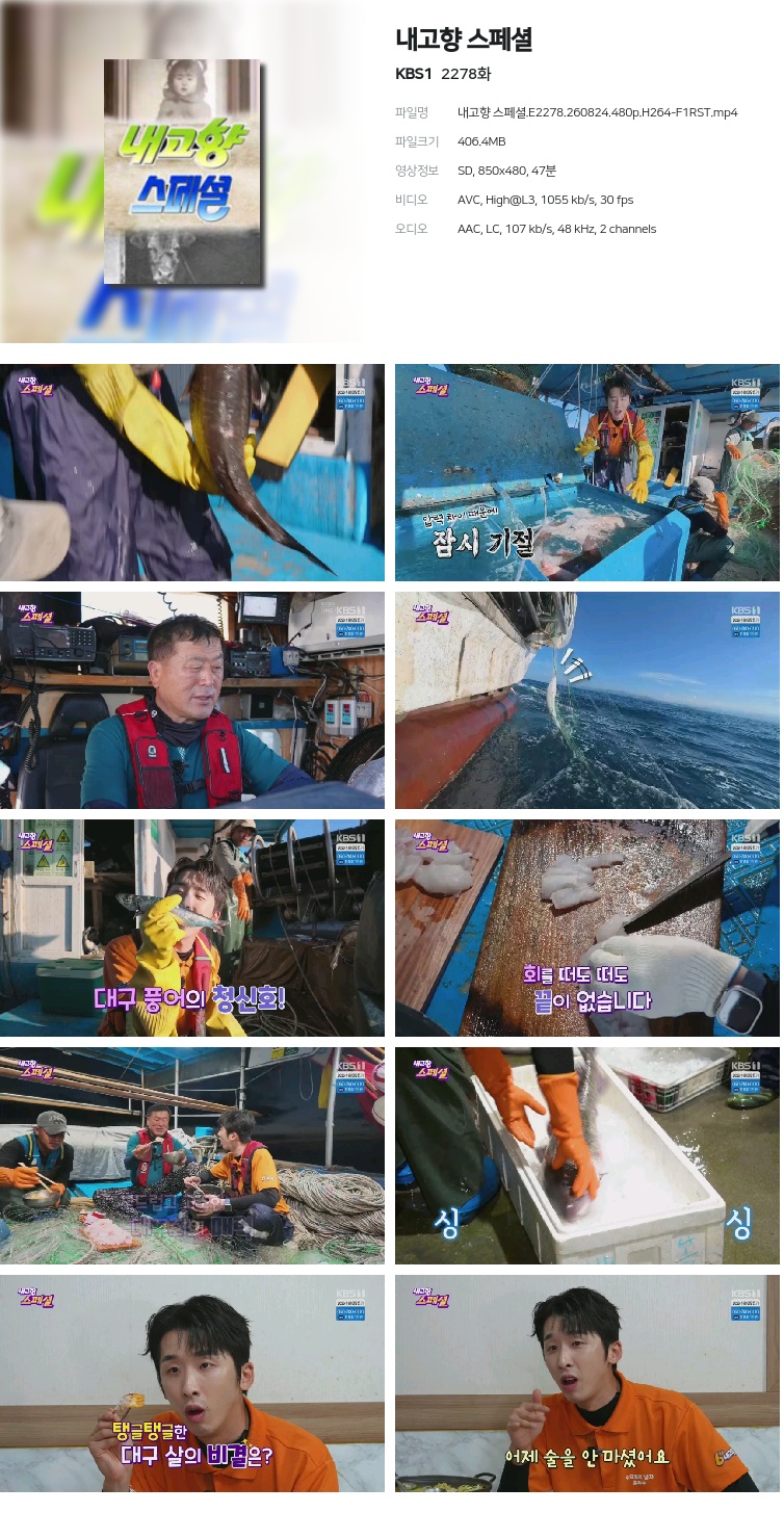 내고향 스페셜.E2278.260824.480p.H264-F1RST