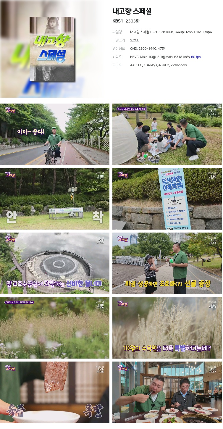내고향 스페셜.E2303.261006.1440p.H265-F1RST