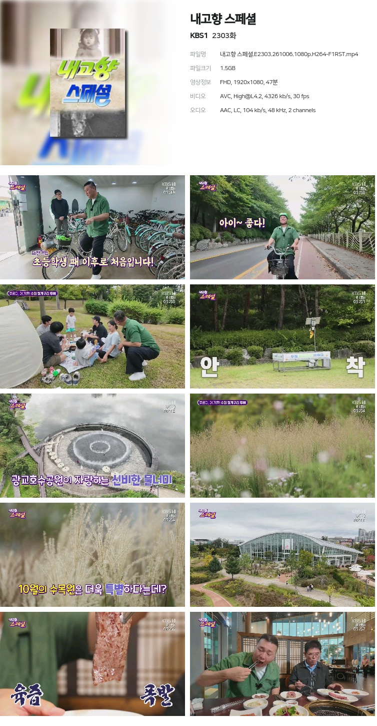 내고향 스페셜.E2303.261006.1080p.H264-F1RST