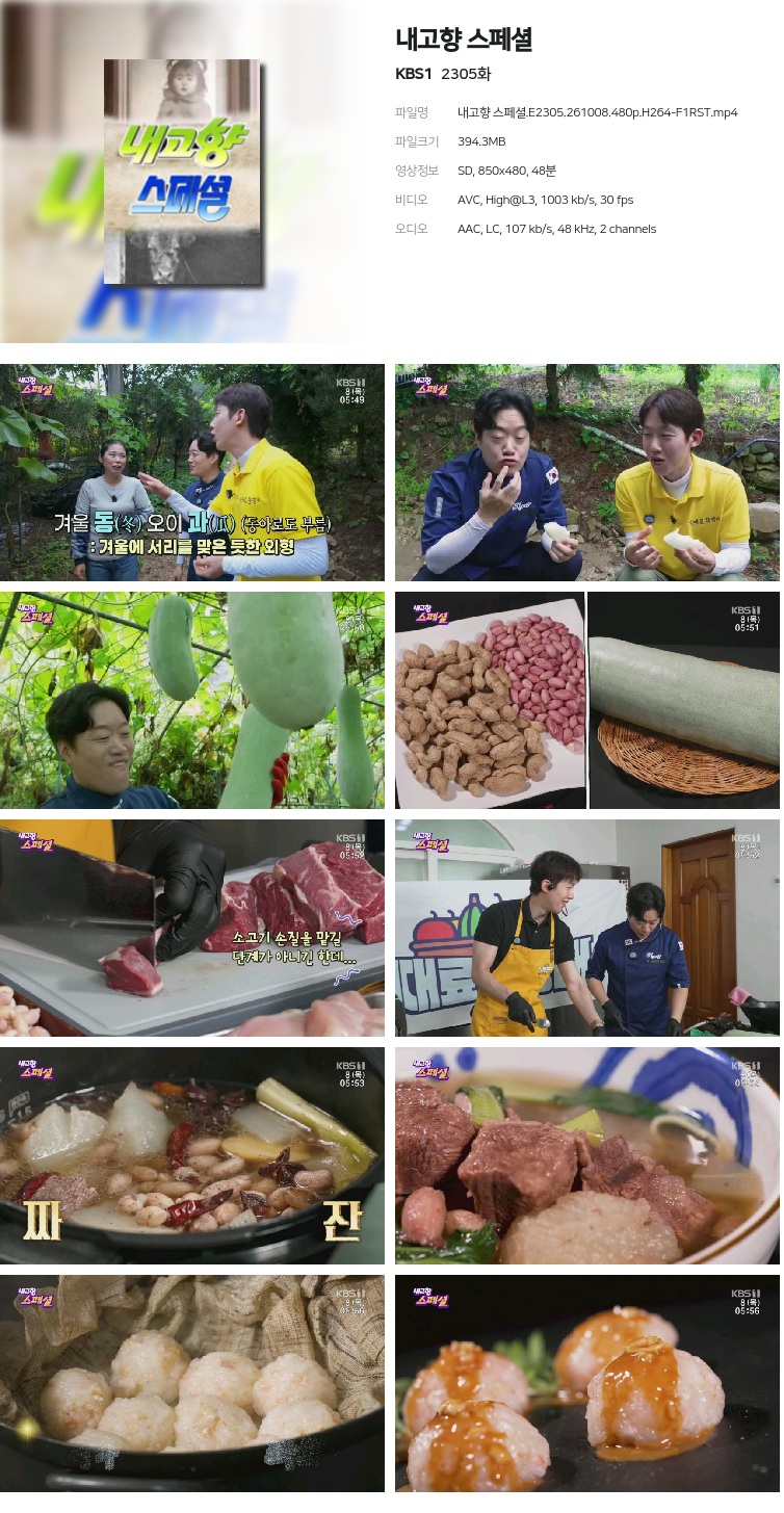 내고향 스페셜.E2305.261008.480p.H264-F1RST