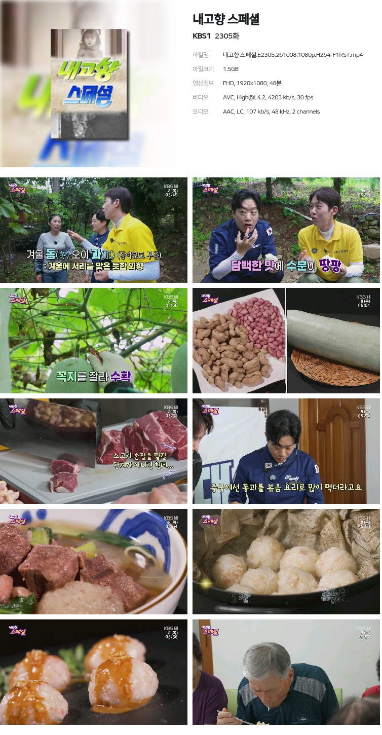 내고향 스페셜.E2305.261008.1080p.H264-F1RST