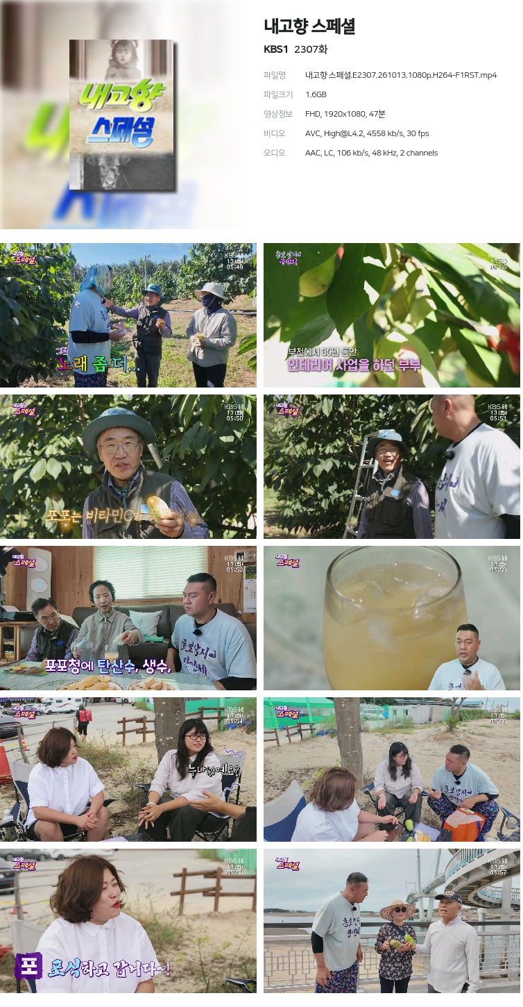 내고향 스페셜.E2307.261013.1080p.H264-F1RST