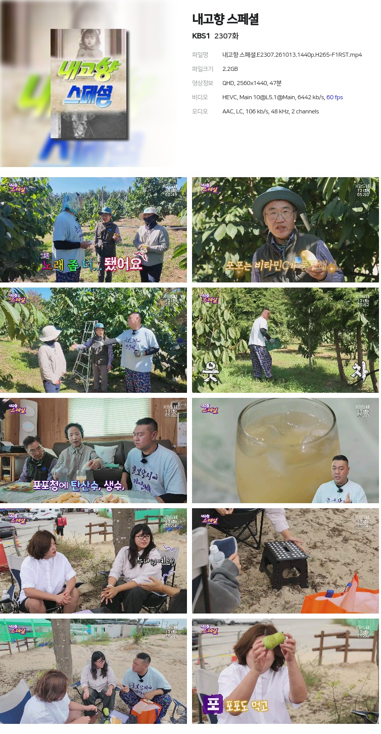 내고향 스페셜.E2307.261013.1440p.H265-F1RST