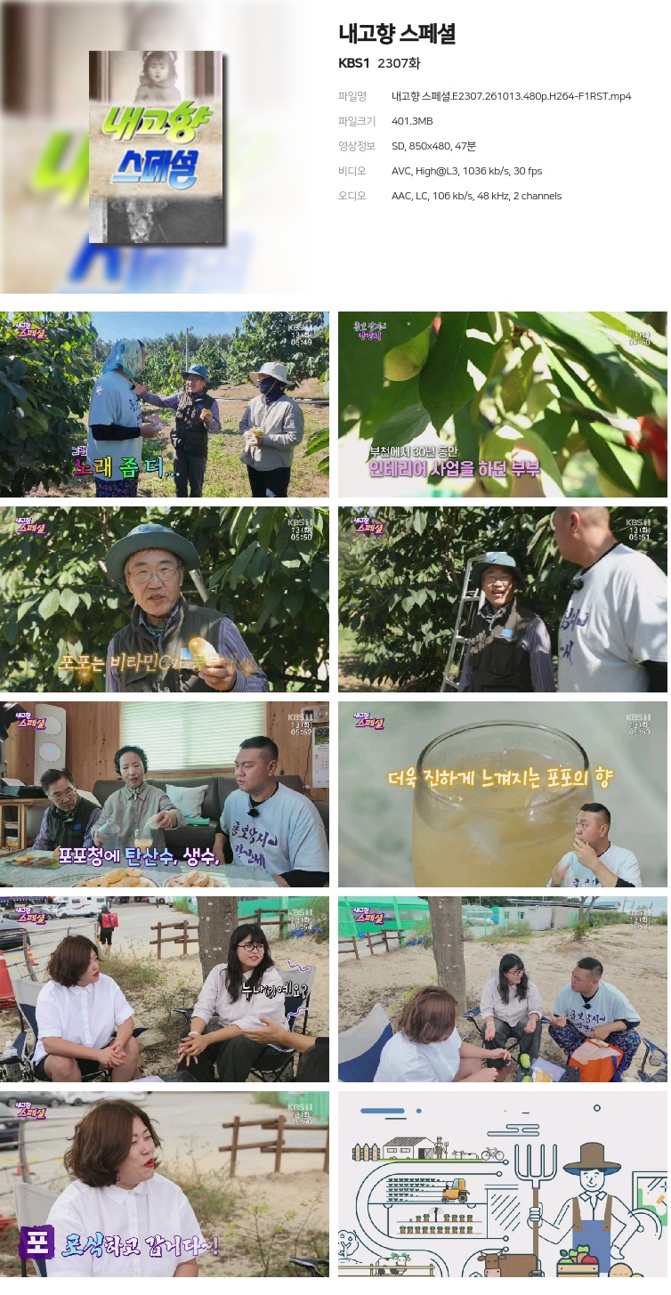 내고향 스페셜.E2307.261013.480p.H264-F1RST