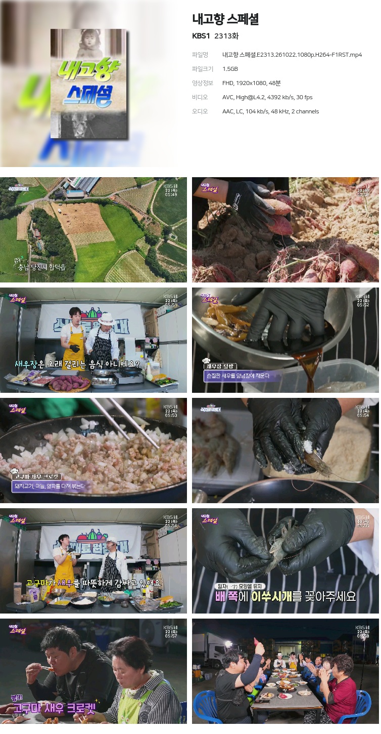 내고향 스페셜.E2313.261022.1080p.H264-F1RST