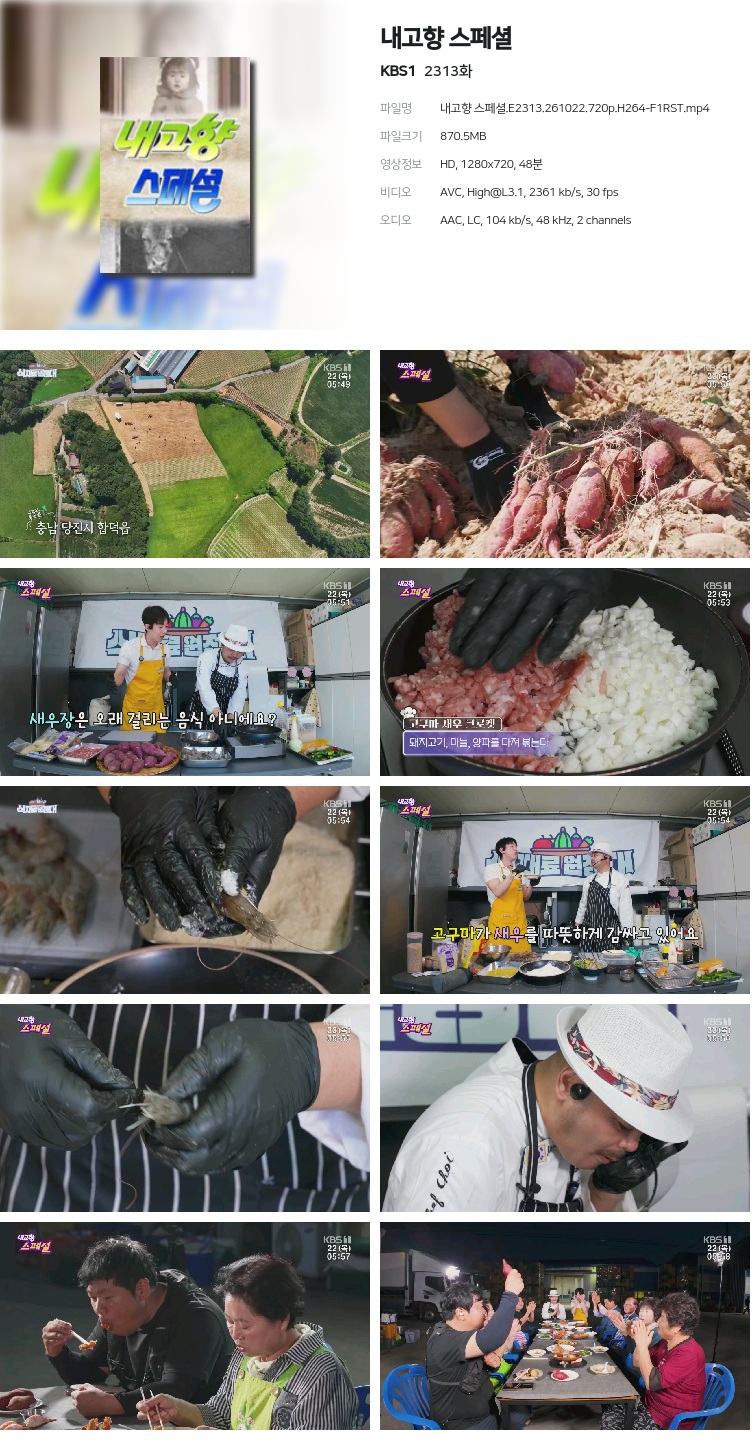 내고향 스페셜.E2313.261022.720p.H264-F1RST