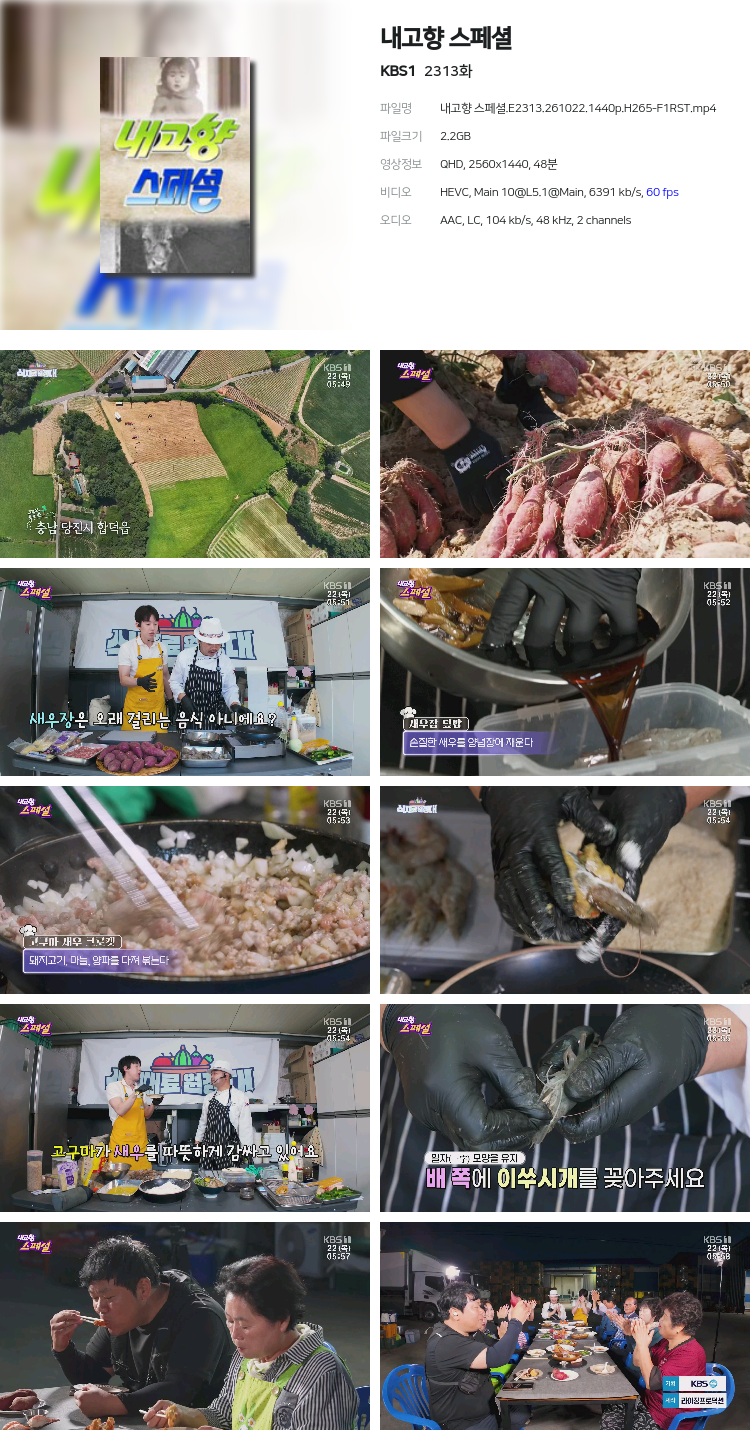 내고향 스페셜.E2313.261022.1440p.H265-F1RST