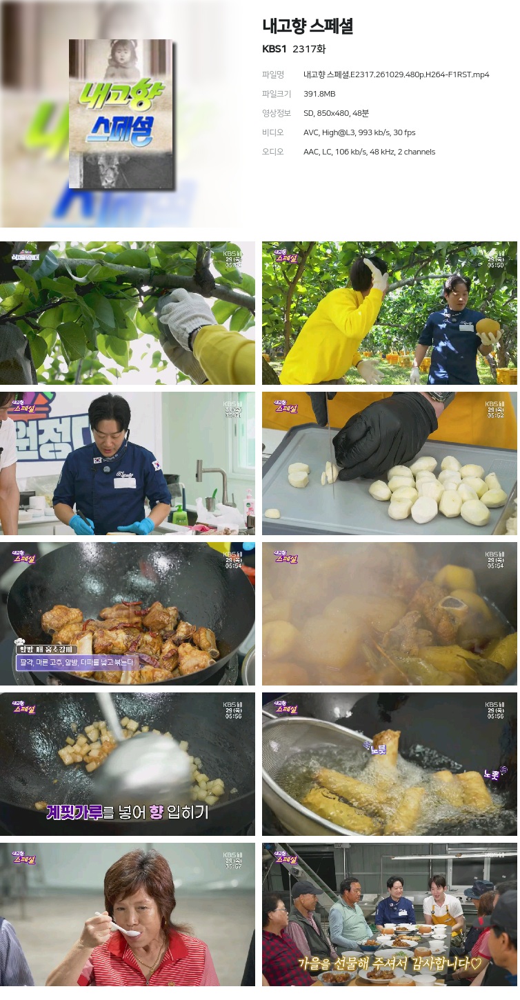 내고향 스페셜.E2317.261029.480p.H264-F1RST